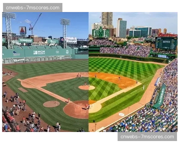 球场安全新规：MLB要求所有30支球队在2026年底前完成护网延伸工程